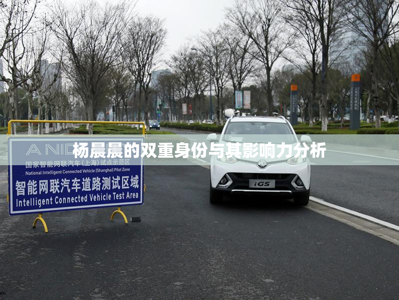 杨晨晨的双重身份与其影响力分析