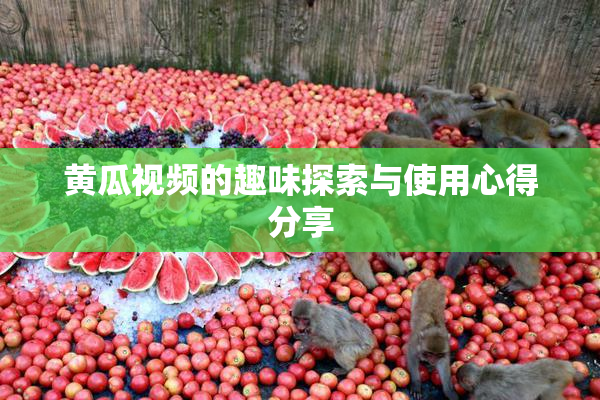 黄瓜视频的趣味探索与使用心得分享