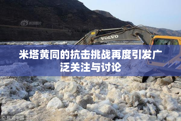 米塔黄同的抗击挑战再度引发广泛关注与讨论