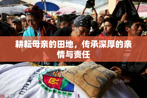耕耘母亲的田地，传承深厚的亲情与责任