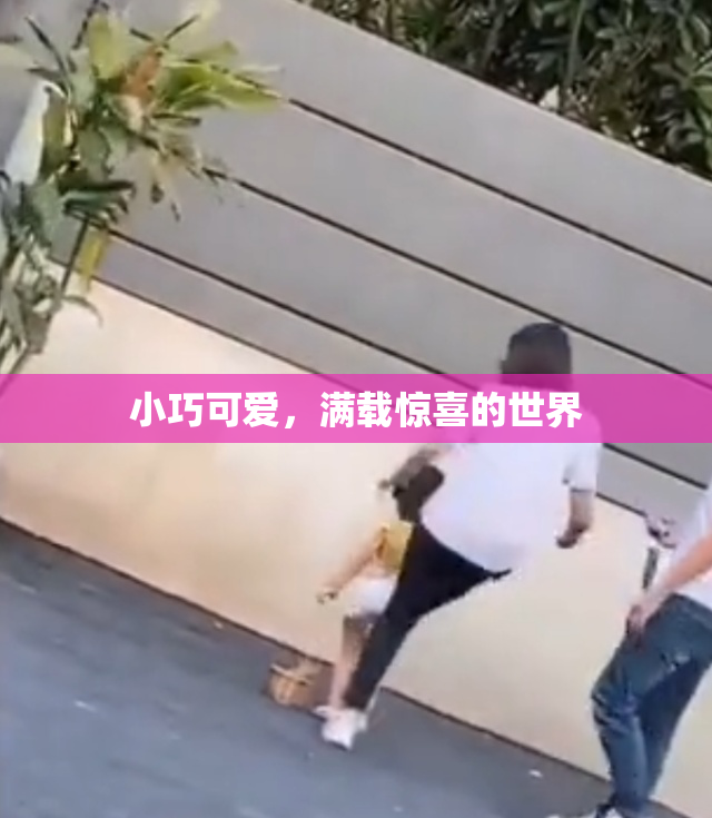 小巧可爱，满载惊喜的世界