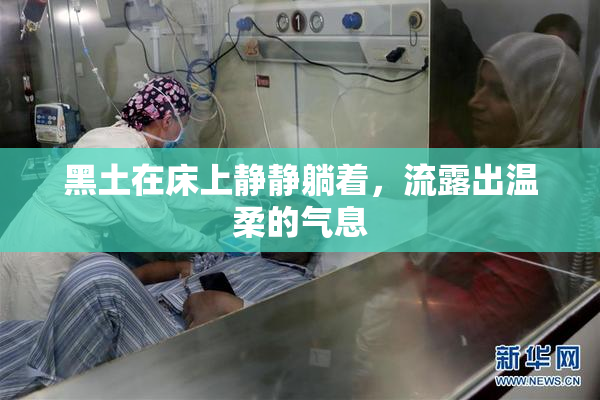 黑土在床上静静躺着，流露出温柔的气息