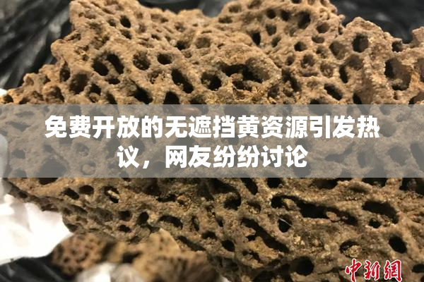 免费开放的无遮挡黄资源引发热议，网友纷纷讨论