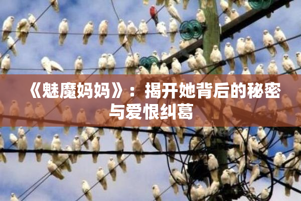 《魅魔妈妈》：揭开她背后的秘密与爱恨纠葛