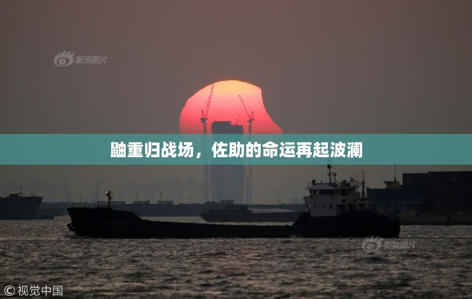 鼬重归战场，佐助的命运再起波澜