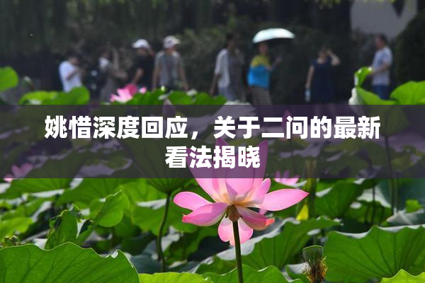 姚惜深度回应，关于二问的最新看法揭晓