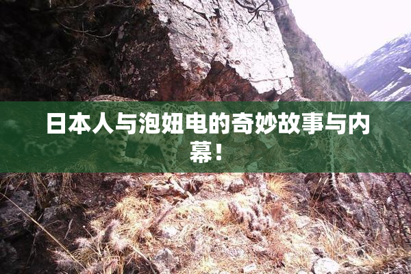 日本人与泡妞电的奇妙故事与内幕！