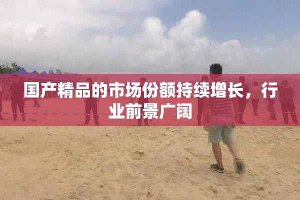 国产精品的市场份额持续增长，行业前景广阔