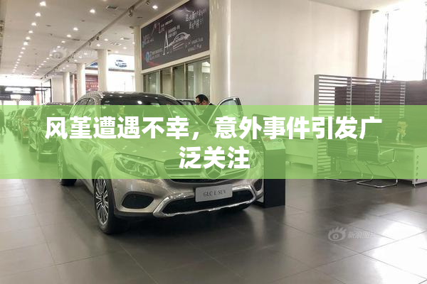 风堇遭遇不幸，意外事件引发广泛关注