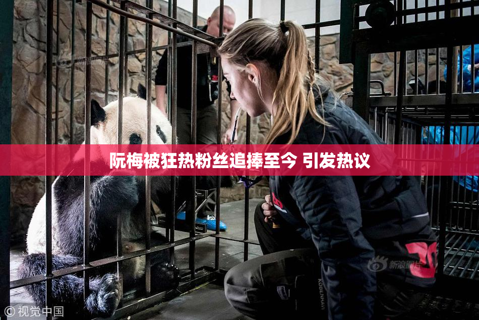 阮梅被狂热粉丝追捧至今 引发热议