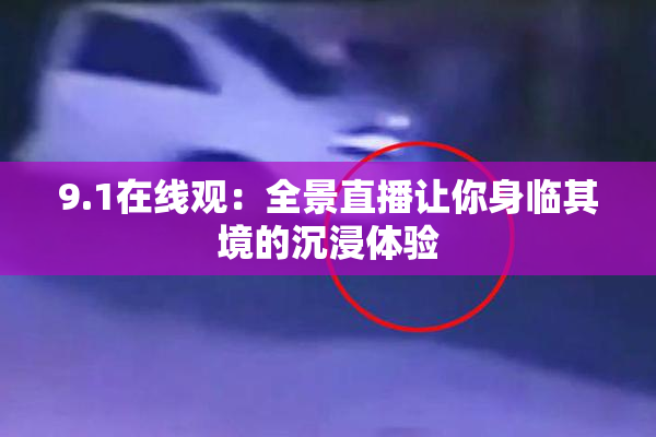 9.1在线观：全景直播让你身临其境的沉浸体验