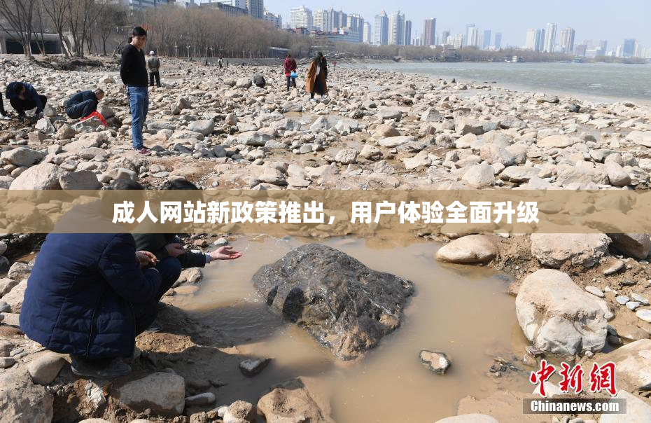 成人网站新政策推出，用户体验全面升级