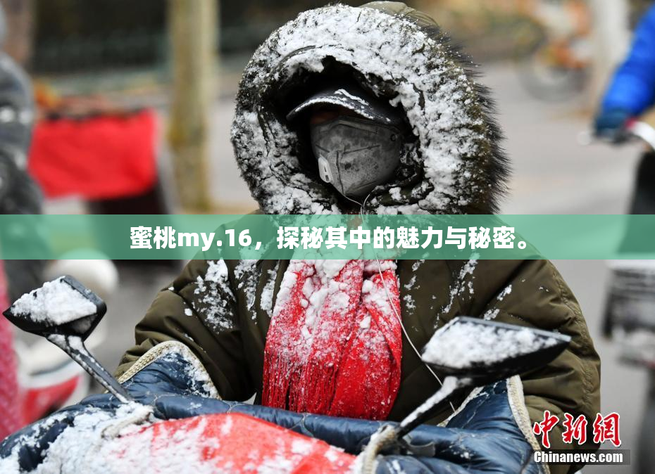 蜜桃my.16，探秘其中的魅力与秘密。