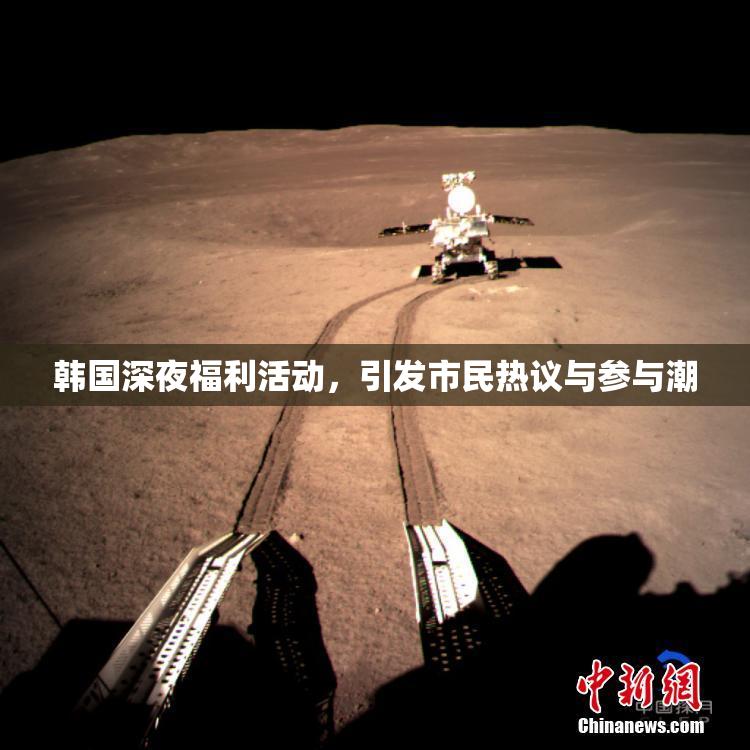韩国深夜福利活动，引发市民热议与参与潮