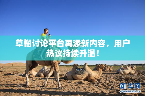 草榴讨论平台再添新内容，用户热议持续升温！