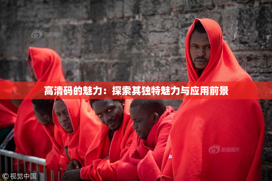 高清码的魅力：探索其独特魅力与应用前景