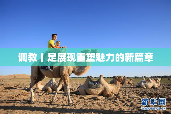 调教丨足展现重塑魅力的新篇章