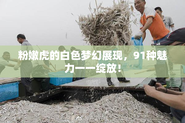 粉嫩虎的白色梦幻展现，91种魅力一一绽放！