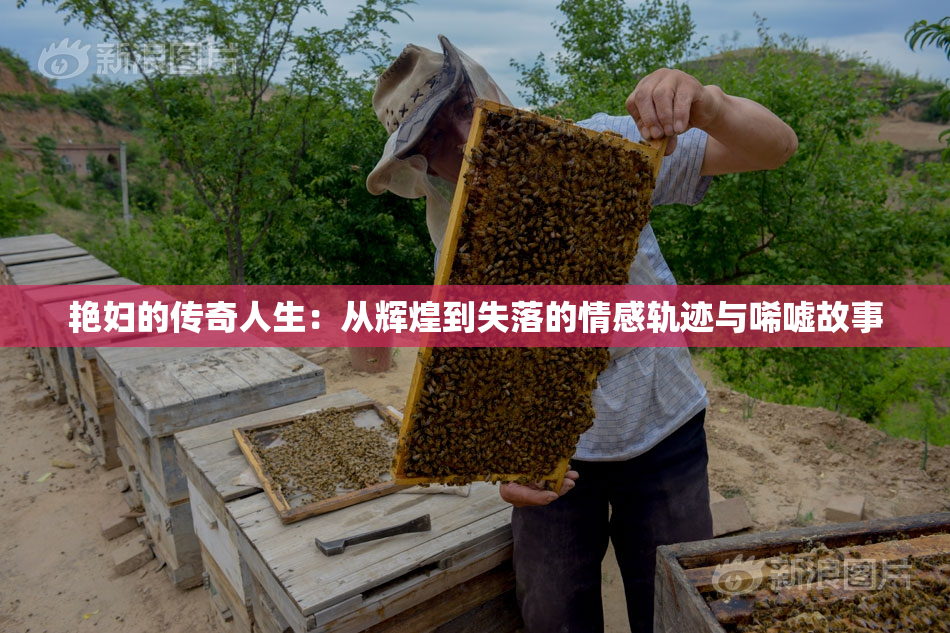 艳妇的传奇人生：从辉煌到失落的情感轨迹与唏嘘故事
