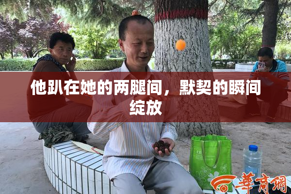 他趴在她的两腿间，默契的瞬间绽放