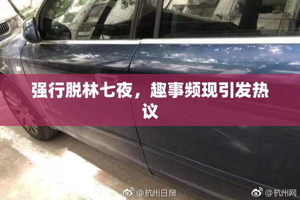 强行脱林七夜，趣事频现引发热议