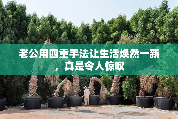 老公用四重手法让生活焕然一新，真是令人惊叹