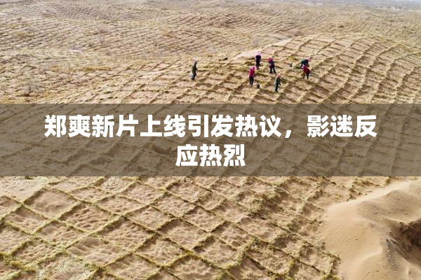 郑爽新片上线引发热议，影迷反应热烈