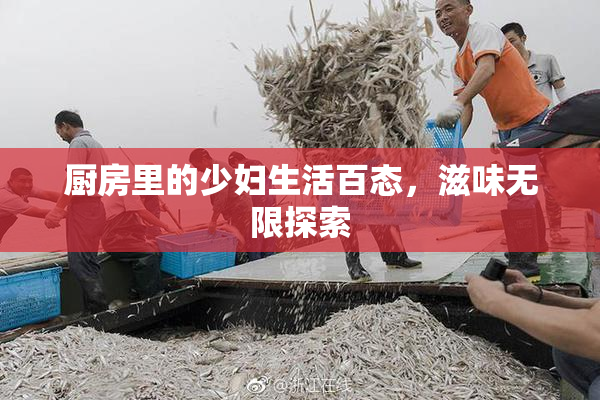 厨房里的少妇生活百态，滋味无限探索