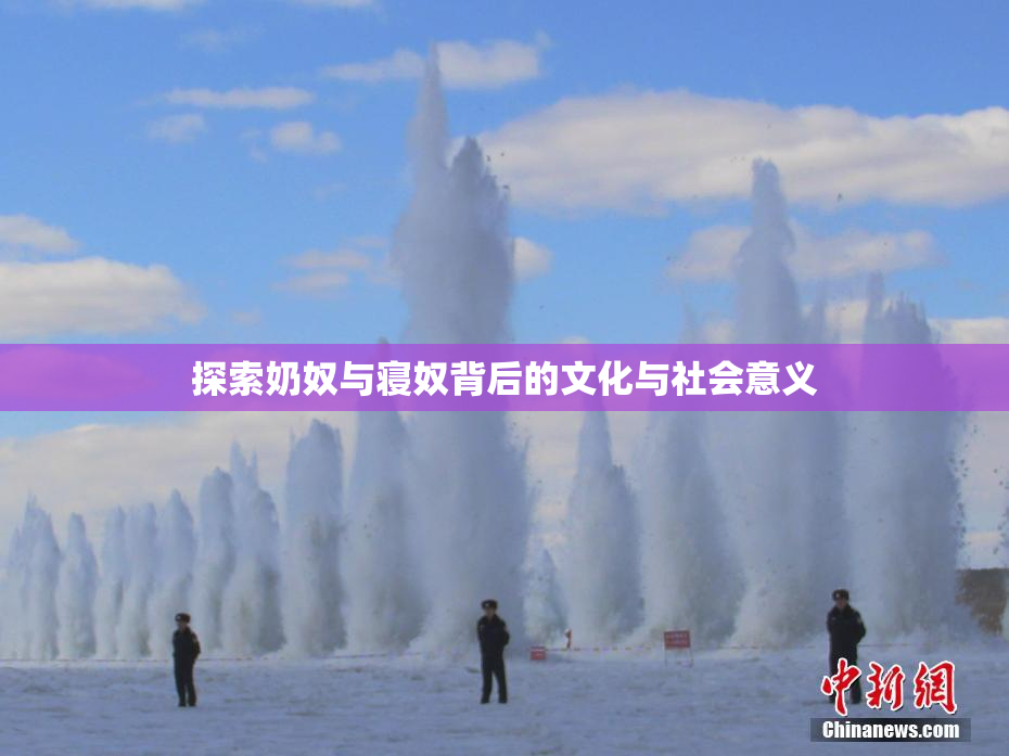 探索奶奴与寝奴背后的文化与社会意义