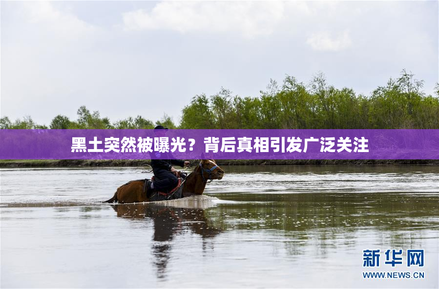 黑土突然被曝光？背后真相引发广泛关注