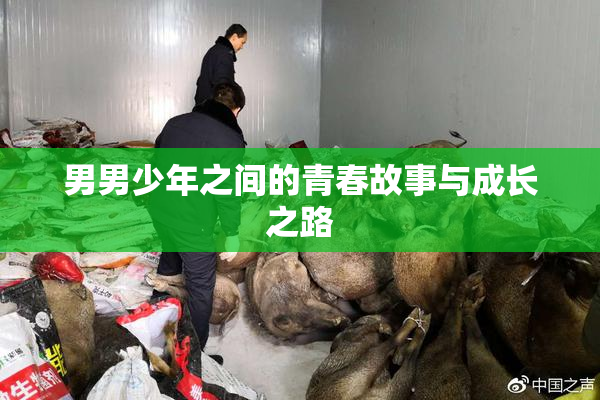 男男少年之间的青春故事与成长之路