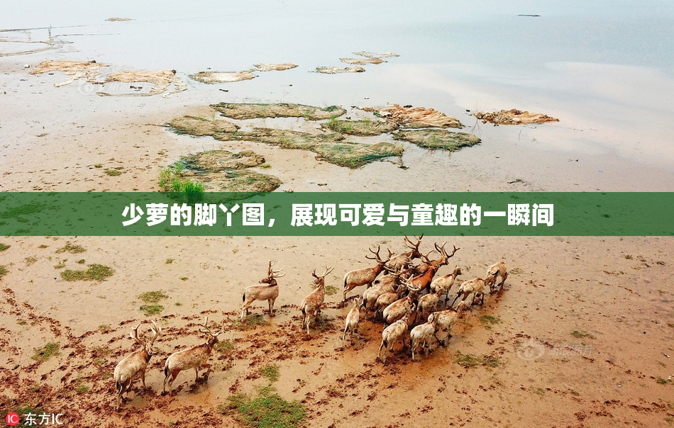少萝的脚丫图，展现可爱与童趣的一瞬间