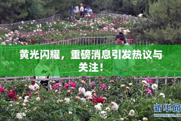 黄光闪耀，重磅消息引发热议与关注！