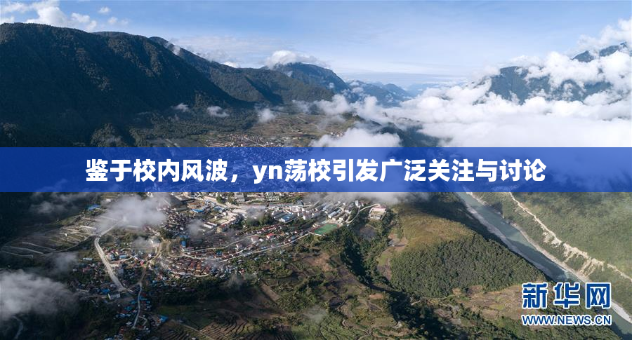 鉴于校内风波，yn荡校引发广泛关注与讨论