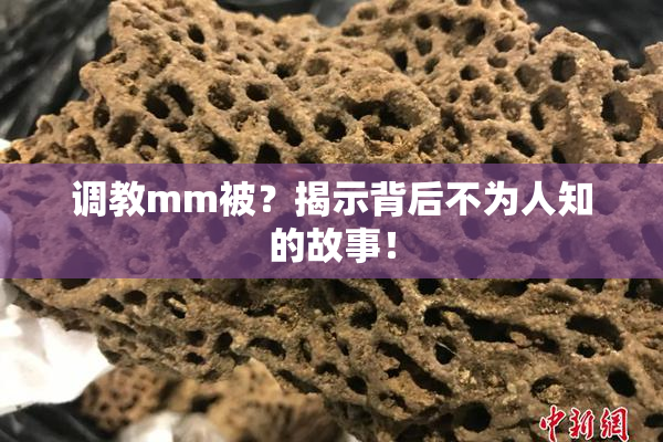 调教mm被？揭示背后不为人知的故事！