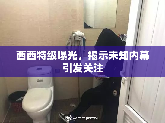 西西特级曝光，揭示未知内幕引发关注