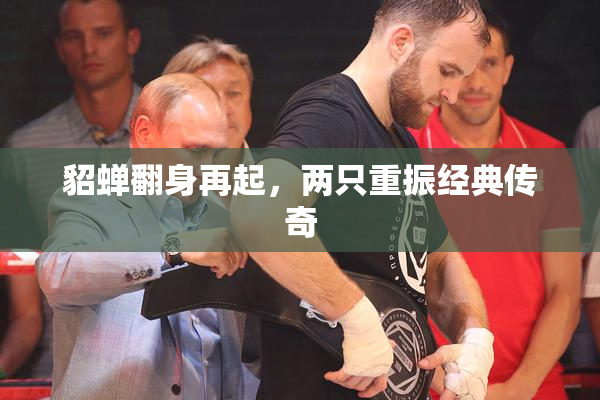 貂蝉翻身再起，两只重振经典传奇