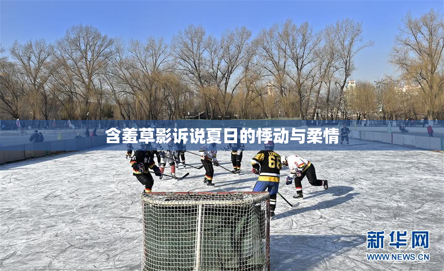含羞草影诉说夏日的悸动与柔情