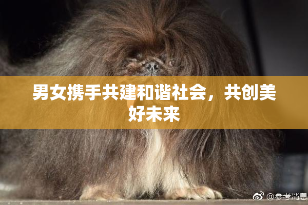 男女携手共建和谐社会，共创美好未来