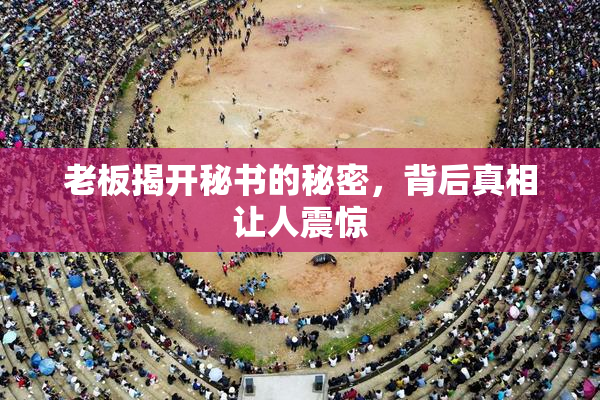 老板揭开秘书的秘密，背后真相让人震惊