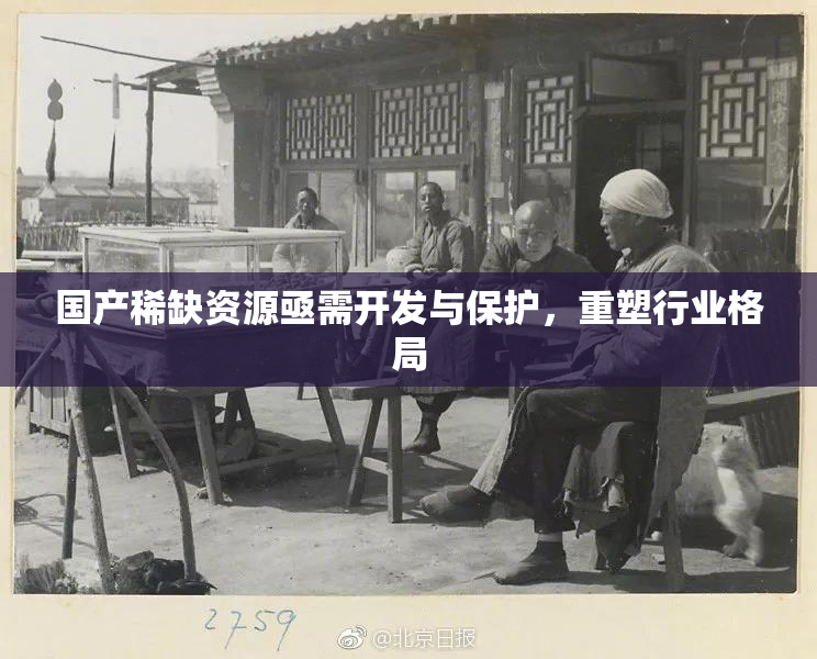国产稀缺资源亟需开发与保护，重塑行业格局