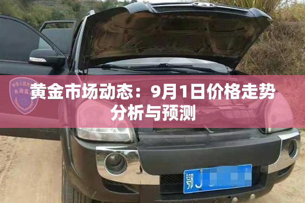 黄金市场动态：9月1日价格走势分析与预测
