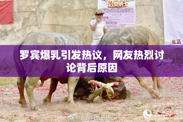 罗宾爆乳引发热议，网友热烈讨论背后原因
