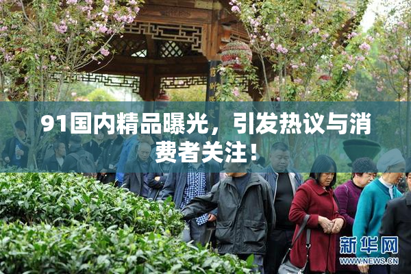 91国内精品曝光，引发热议与消费者关注！