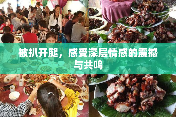 被扒开腿，感受深层情感的震撼与共鸣
