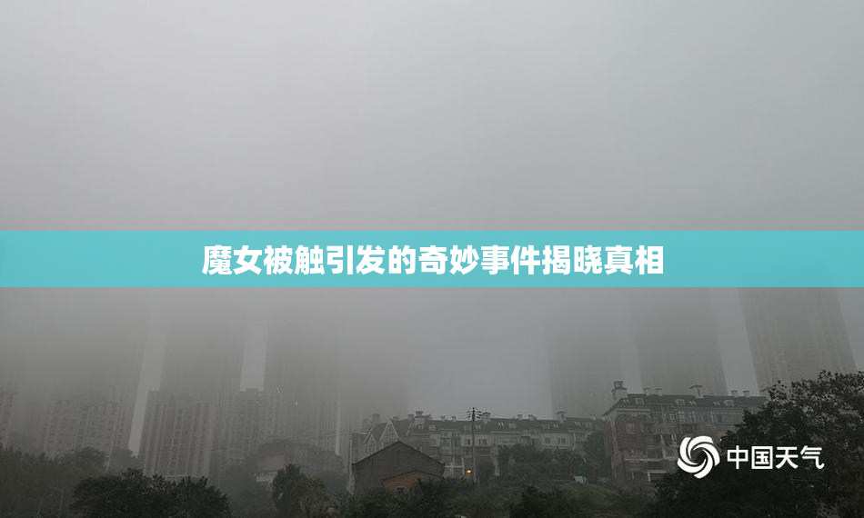 魔女被触引发的奇妙事件揭晓真相