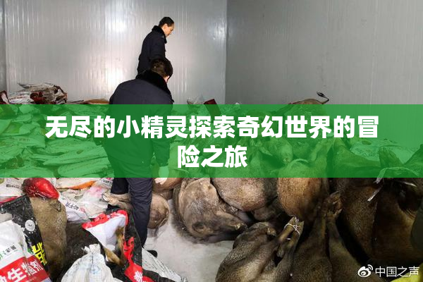 无尽的小精灵探索奇幻世界的冒险之旅