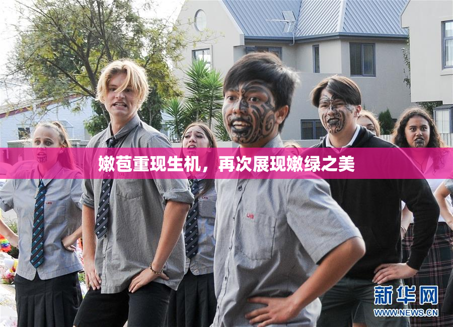 嫩苞重现生机，再次展现嫩绿之美