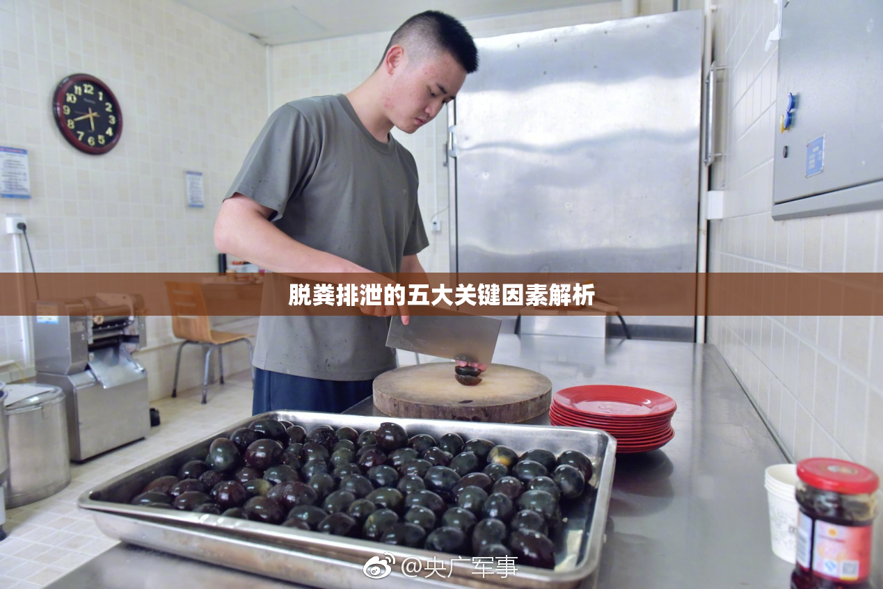 脱粪排泄的五大关键因素解析