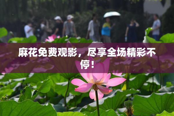 麻花免费观影，尽享全场精彩不停！